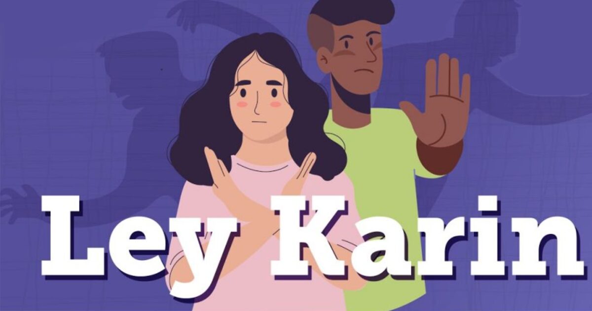 Ley karin
